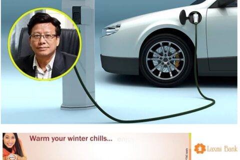 Debunking the economic and environmental benefits of incentivizing the import of private electrical vehicles