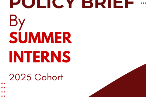 Summer Interns Policy brief cover Summer Interns Policy brief cover