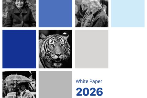 White Paper