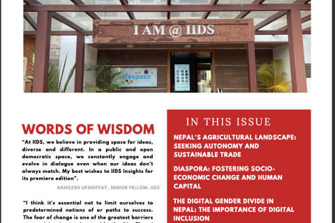 IIDS Insights Volume 1